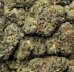 Gelato Cake-Big