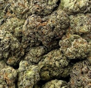 Nightmare OG-Big