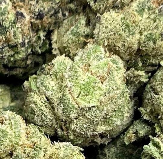Captain OG-Big