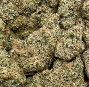 Gelato Cake-Big