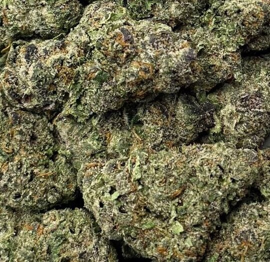 Trop Cookies-Big