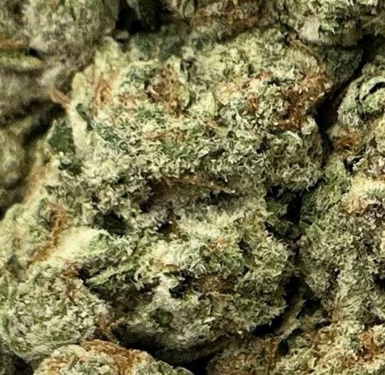 Purple-Big