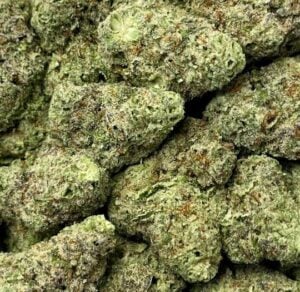 Cherry Gelato-Big