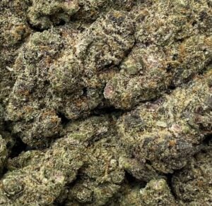 Grape Sherbet-Big