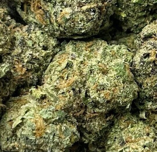 Sunset Sherbert-Big