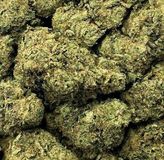 Lemon OG-Big