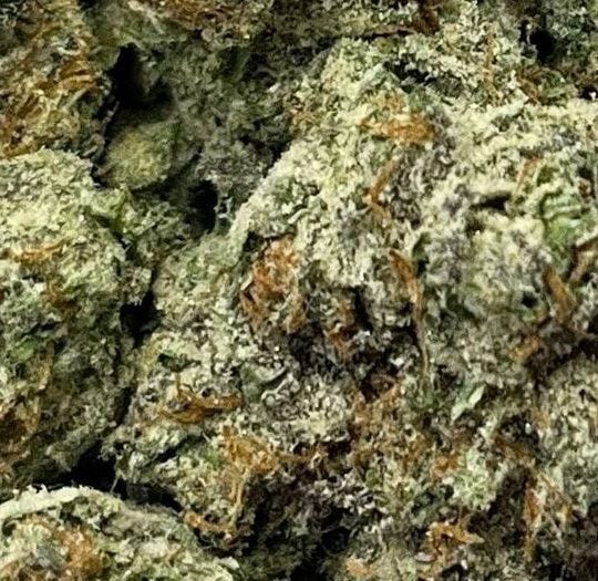 Platinum OG-Big