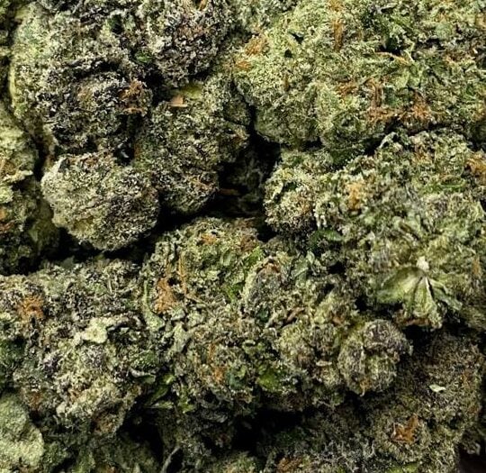 Purple Runtz-Big