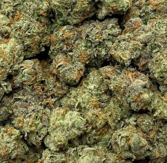 Zkittles-Big