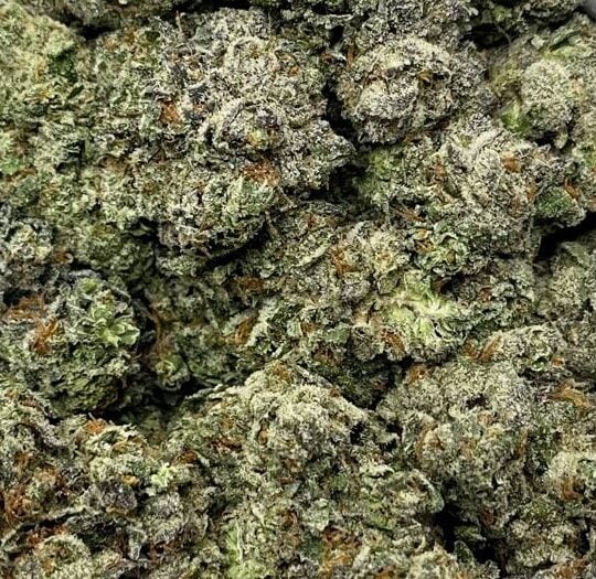 Platinum Lemon Cherry Gelato-Big