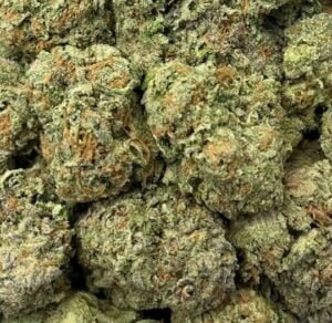 Strawberry Shortcake-Big