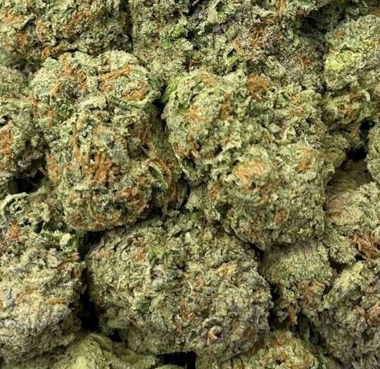 Strawberry Shortcake-Big