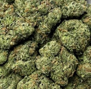 OG KUSH-Big
