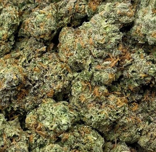 Catalyst OG-Big