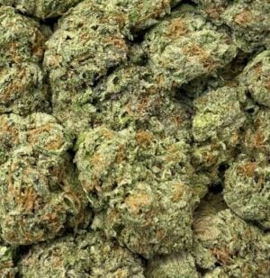 Diamond OG-Big