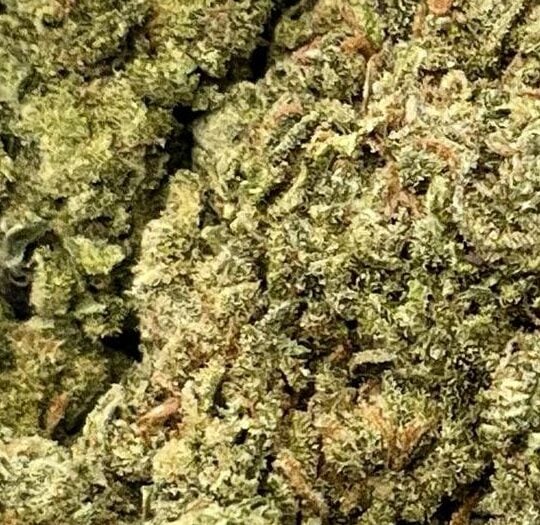 Blue Dream Supreme-Big
