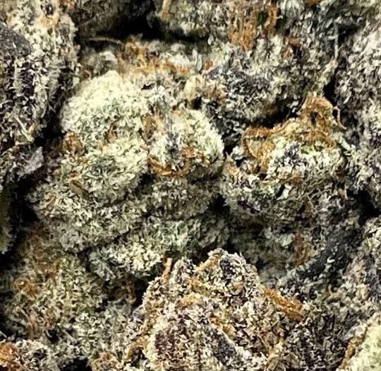 Blackberry-Big