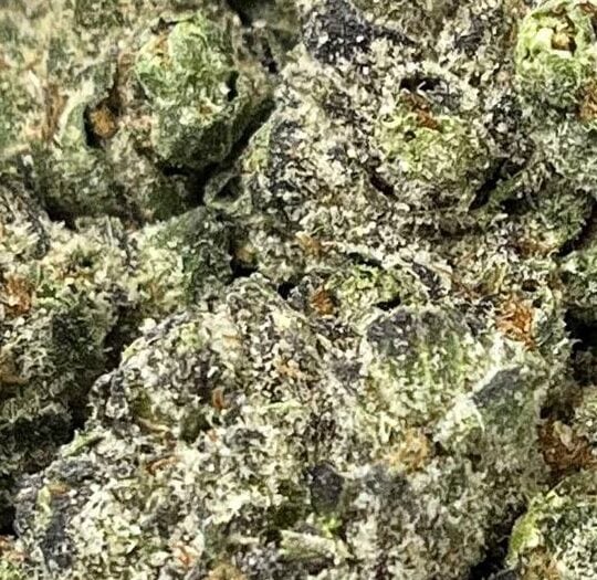 Frosted candy Big