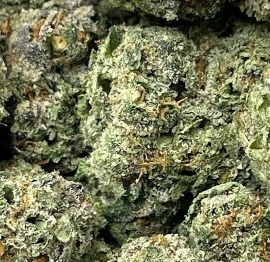 Tropicana Cookies-Big