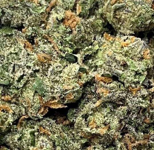 Purple LCG-Big