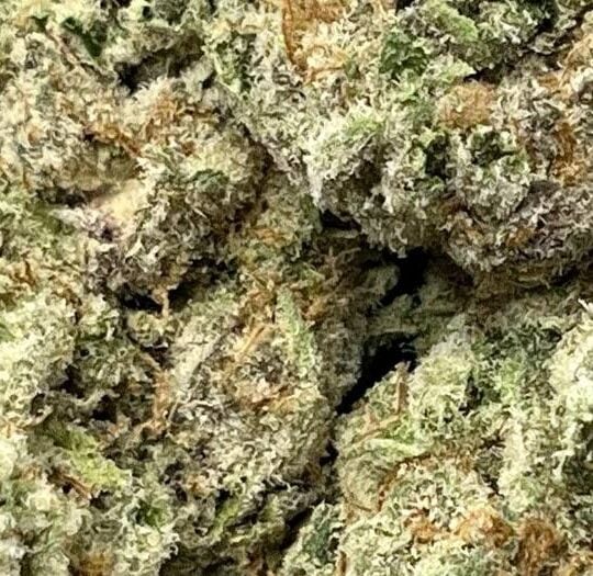 Purple Skittlez Big