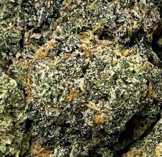 Sherbert-Big