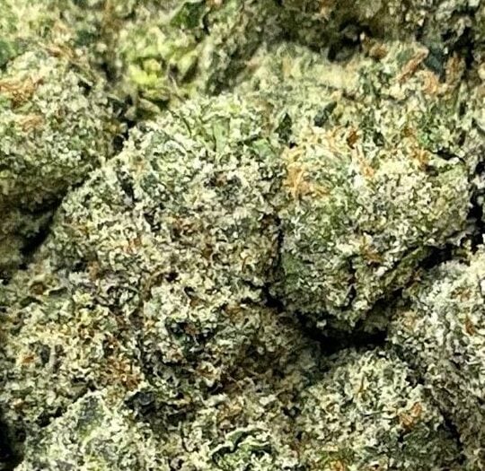BG Gushers-Big