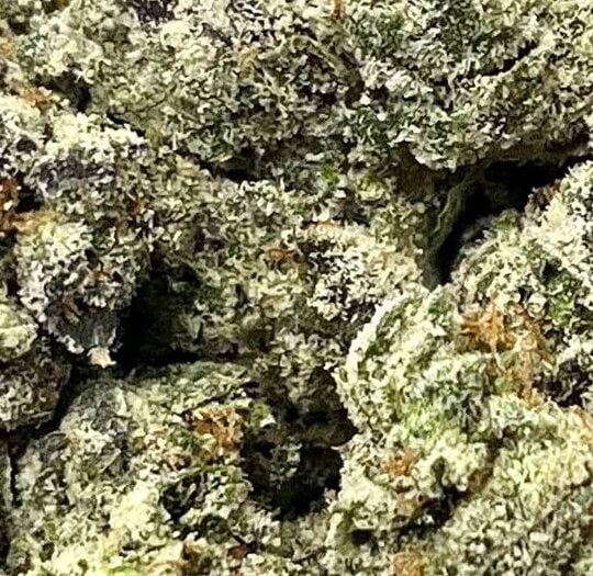 Platinum lemon Gushers Big