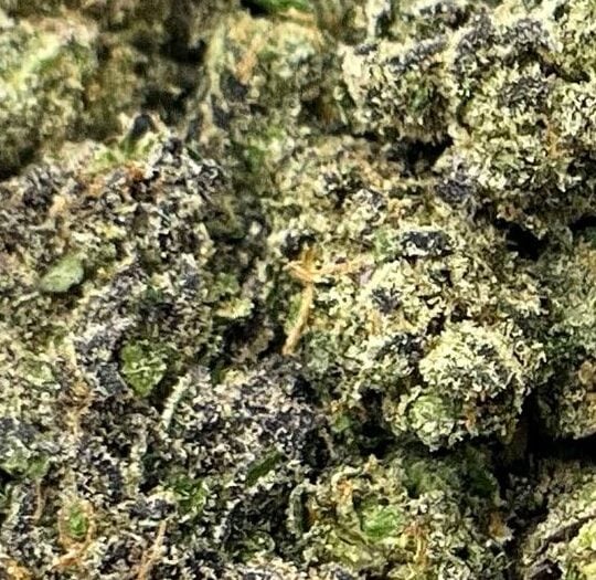Sherb Cream Pie Big