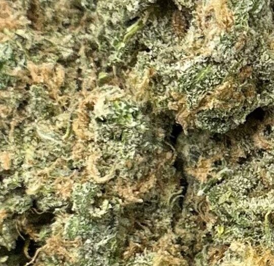Blue Dream Big