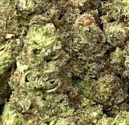Chem's Sister Big