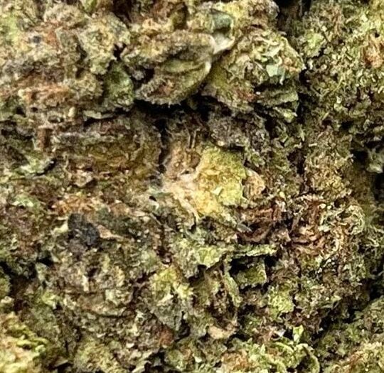 Afghan Kush Big