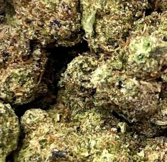 Gorilla Glue Big