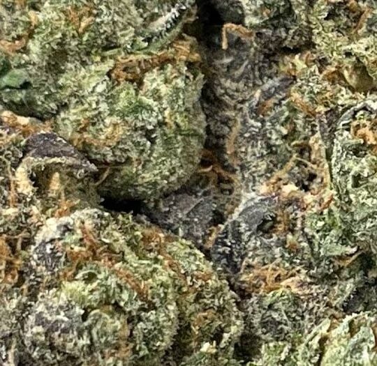 Grape Stomper Big