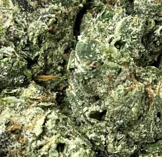 Cookies N Cream Big