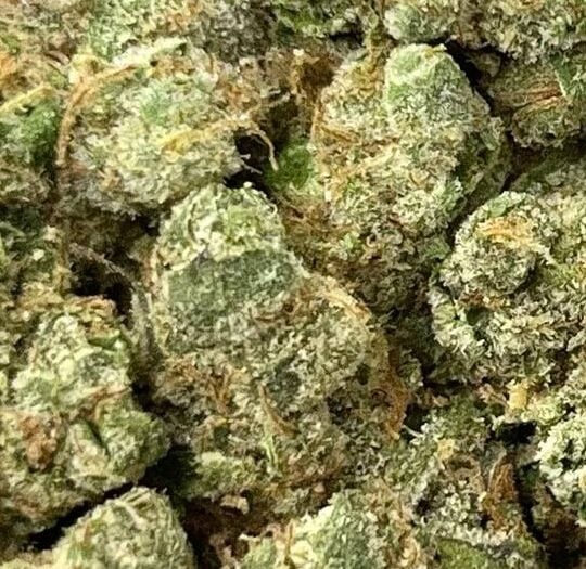 Gelato 41 x Kush Mintz Big