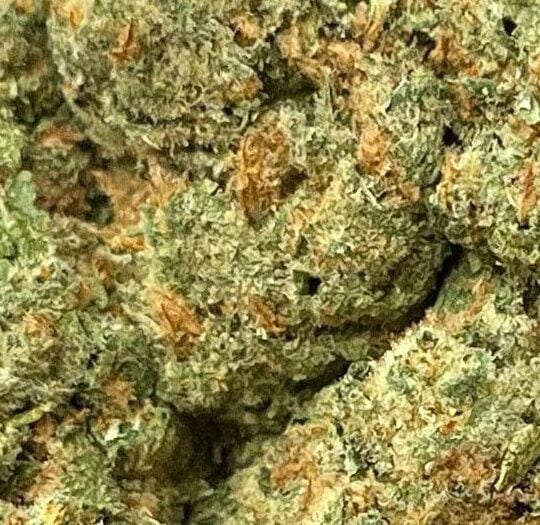 Super Silver Haze Big