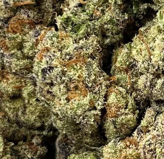 Purple Glitter Big