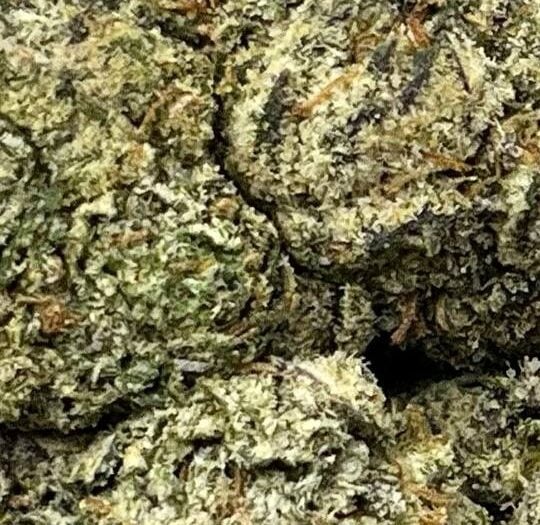 Tropical Pop Big