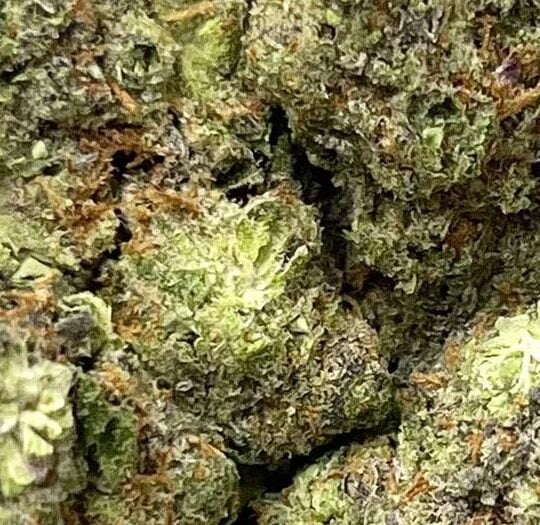 Punch Berry Big