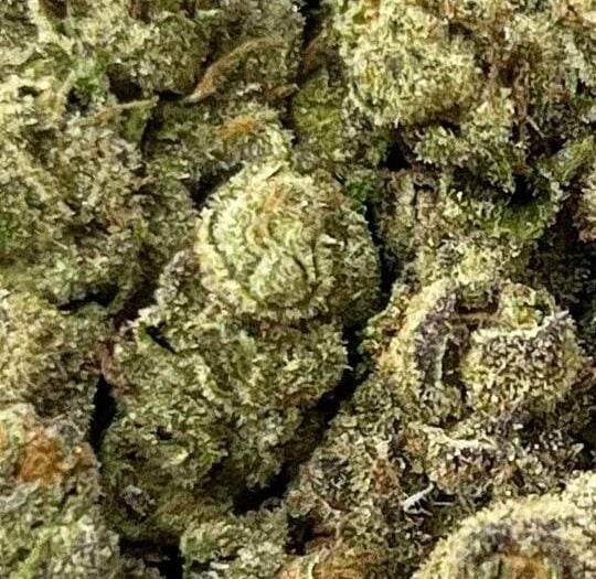 Black Bubble Gum Big