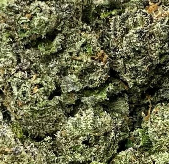 Sherb Cream Pie Big