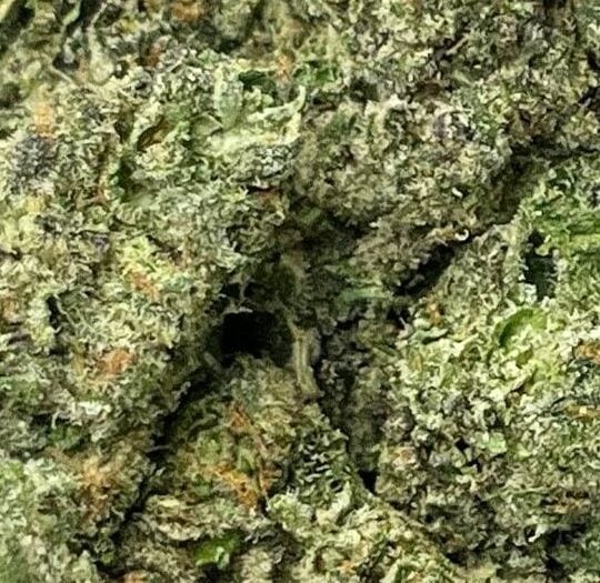 Cherry Pie Runtz Big