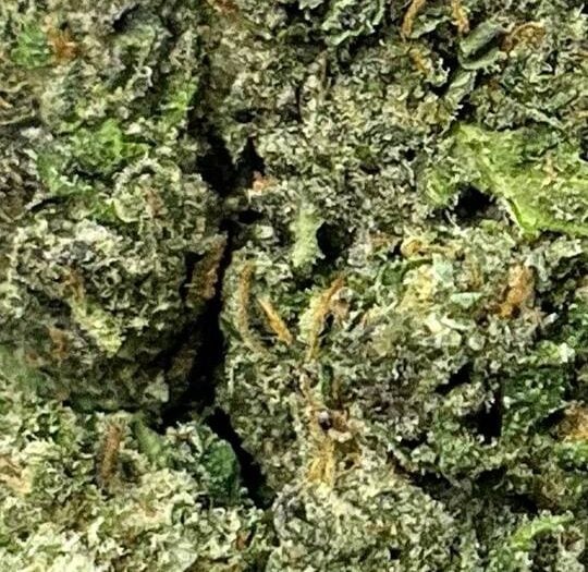 Sherb Cream Pie Big
