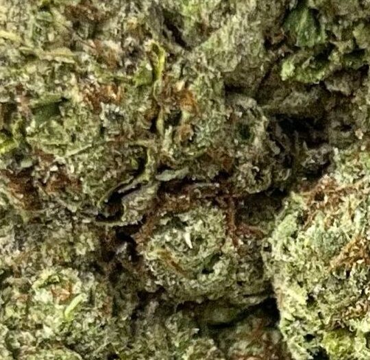 Amnesia Haze Big