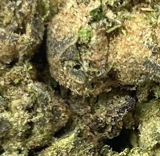 Lemon Cherry Big