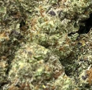 Cookies N Cream Big