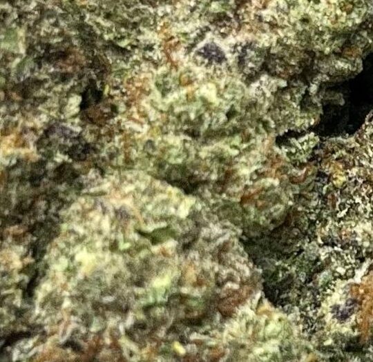 Cookies N Cream Big