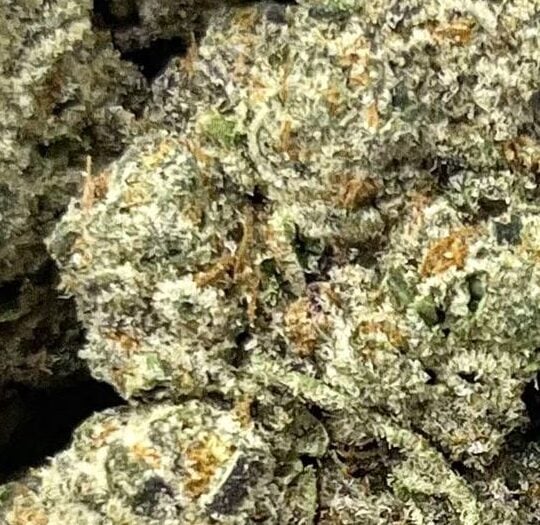 Blue Lemonine Big