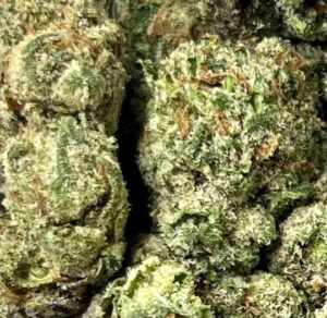 Noho Gelato Big